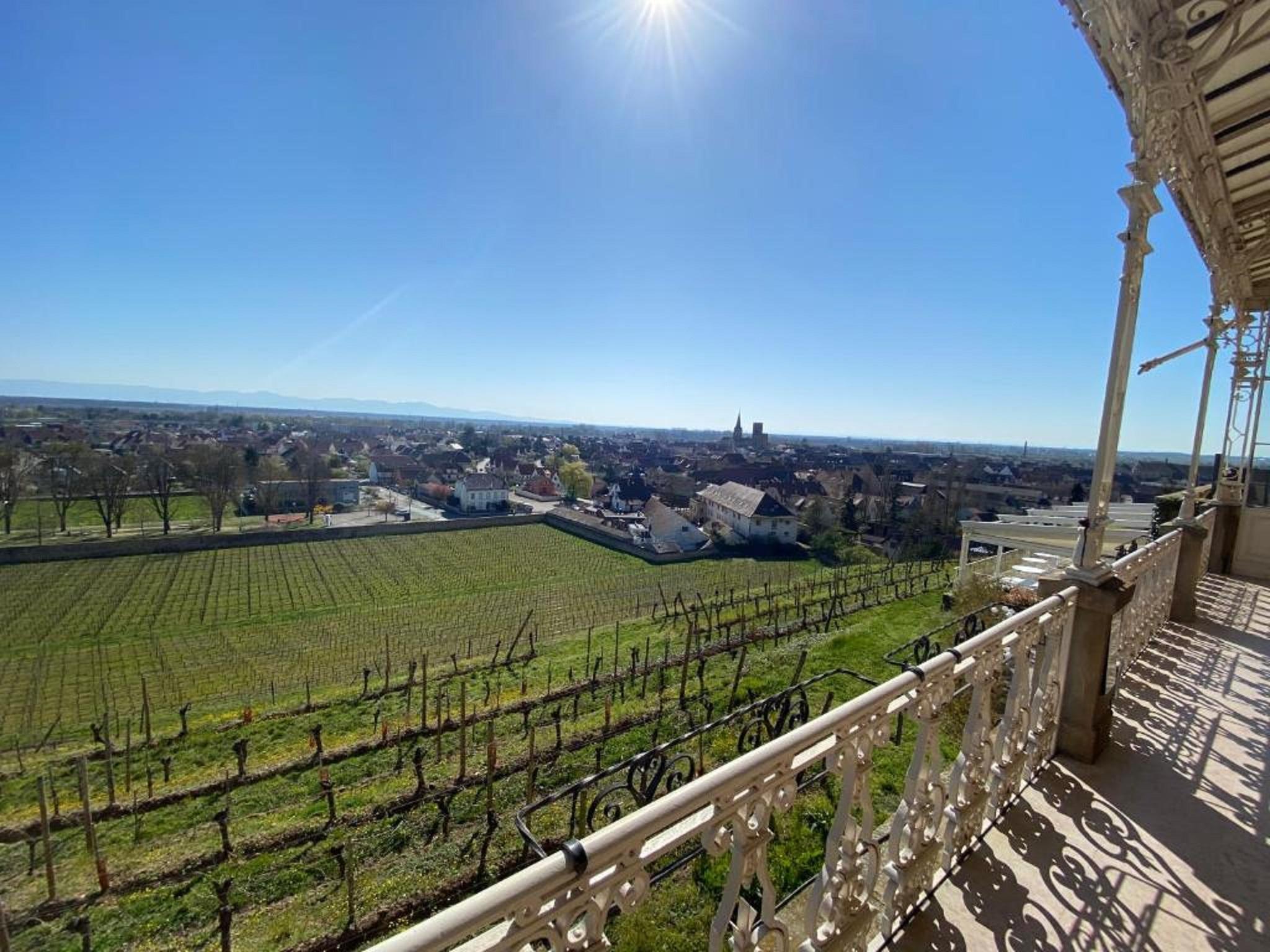 Chateau D'Isenbourg & Spa Rouffach Dış mekan fotoğraf