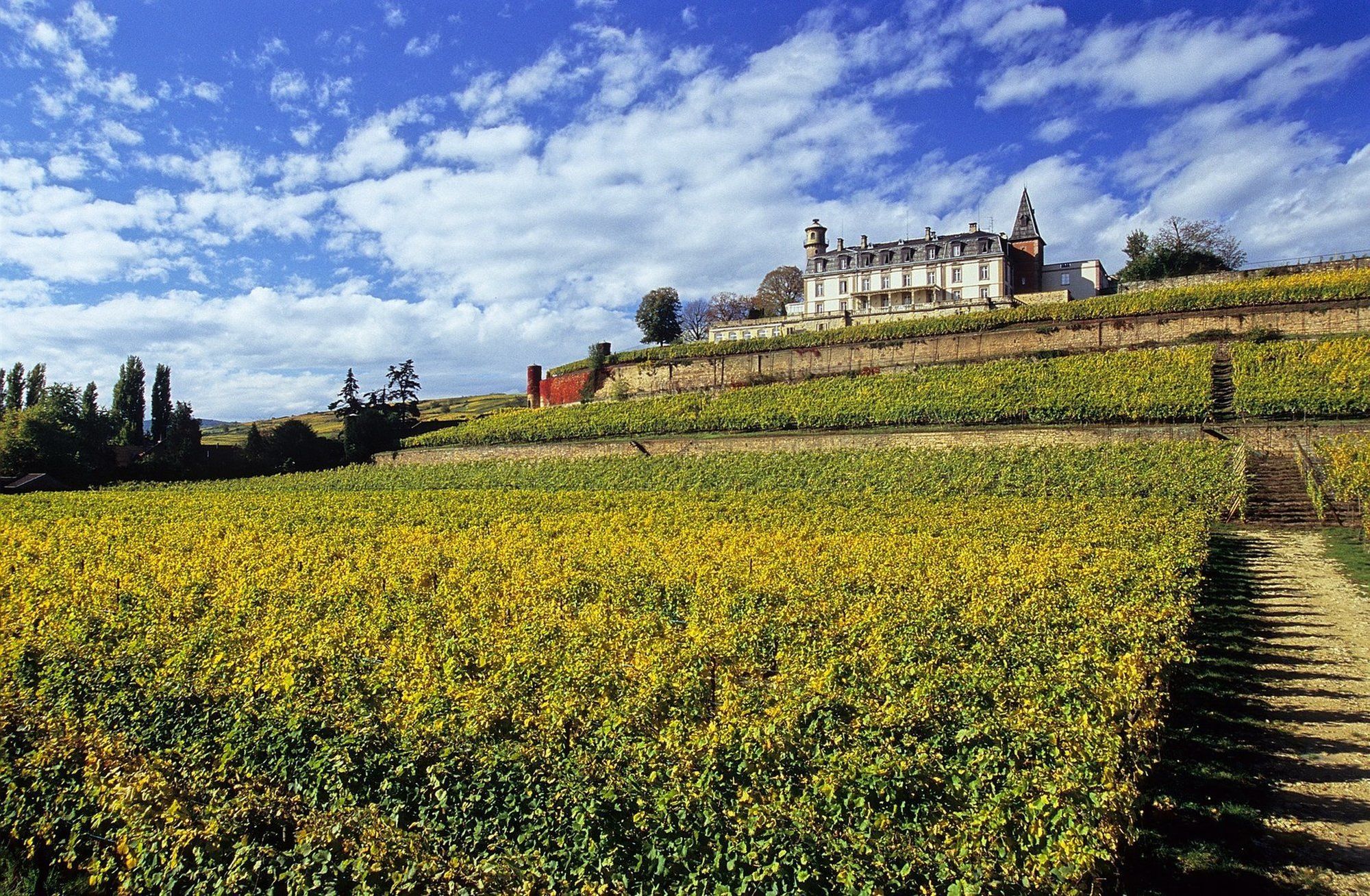 Chateau D'Isenbourg & Spa Rouffach Dış mekan fotoğraf